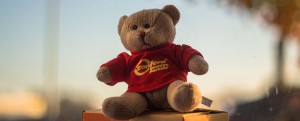 Das Bild zeigt einen Stoffteddybär mit einem roten Pullover und dem Schriftzug confern Umzugspartner